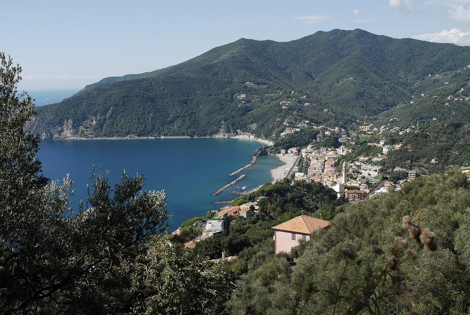 La baia di Moneglia vista dalle colline, fra ulivi e macchia mediterranea