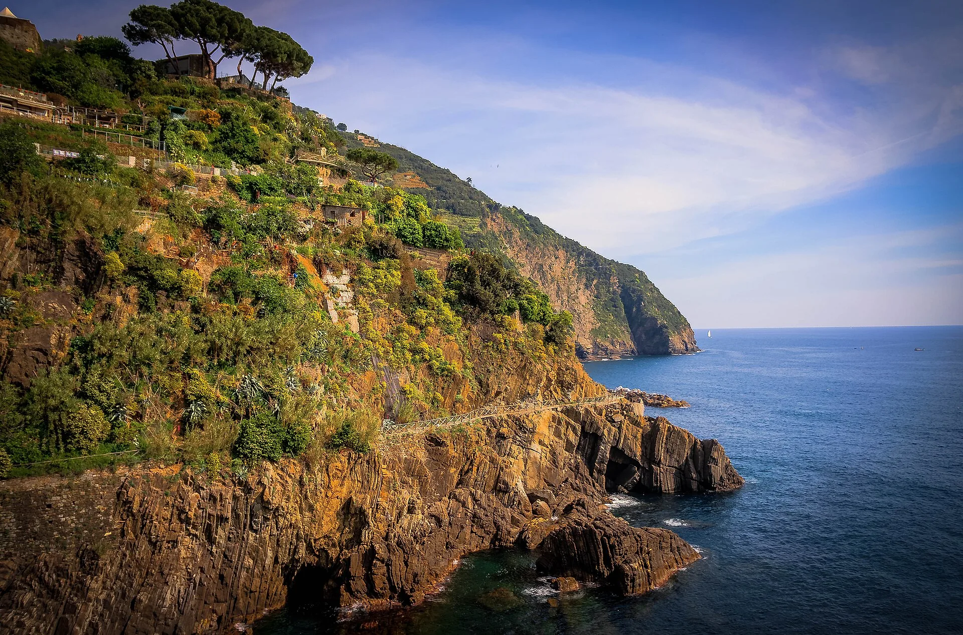 La costa delle Cinque Terre con i terrazzamenti e la macchia a picco sul mare
